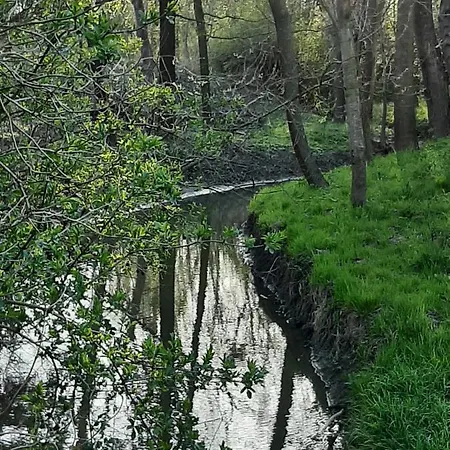 Holiday home Marfi Vendeghaz