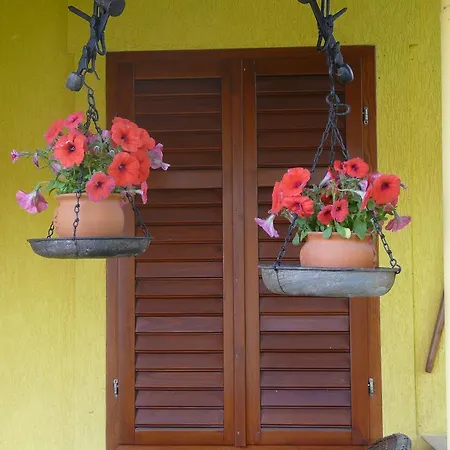 Marfi Vendeghaz Holiday home *